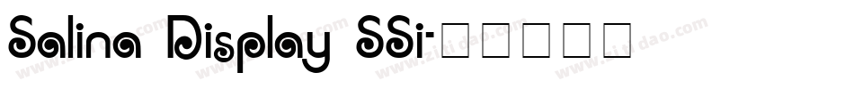 Salina Display SSi字体转换